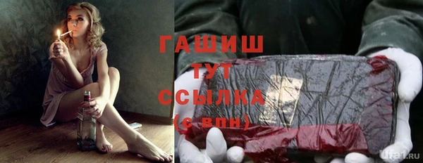 ГАЛЛЮЦИНОГЕННЫЕ ГРИБЫ Алзамай