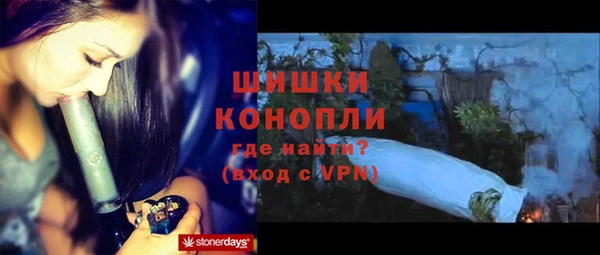 ГАЛЛЮЦИНОГЕННЫЕ ГРИБЫ Алзамай