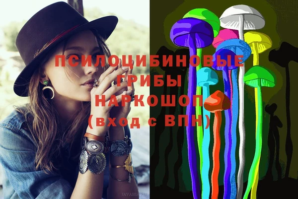 spice Алексин