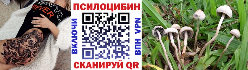 Псилоцибиновые грибы Cubensis  Суровикино 